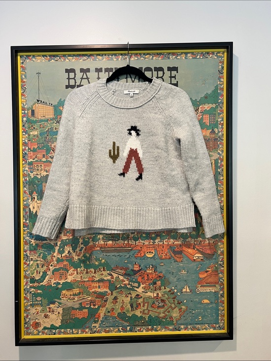 Madewell Sweaters - Madewell Light Gray Crewneck Sweater with Desert Motif